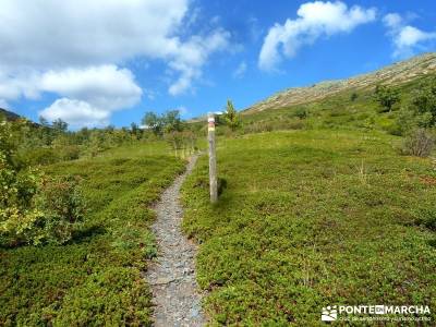 Ocejón - Sierra de Ayllón; la silla de felipe ii viajes puente de mayo paseos por madrid viajes pu